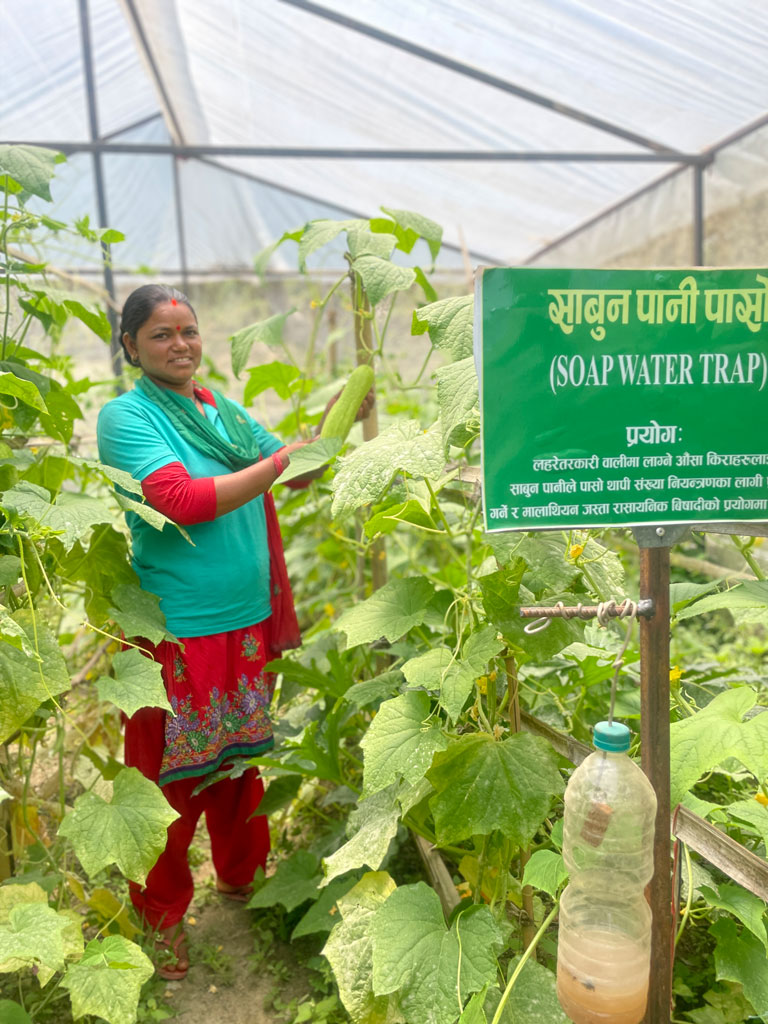 vegetables grown in the CLC