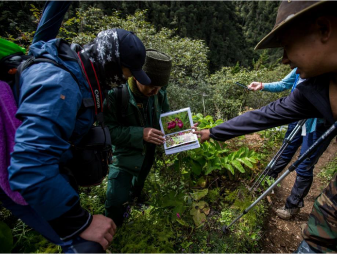 Thinley Norbu Senior Pharmaceutical Technician from Menjog Sorig Pharmaceuticals Cooperation and Bep Tshering Senior Forest Ranger JDNP providing us with insights into various herbs along the journey