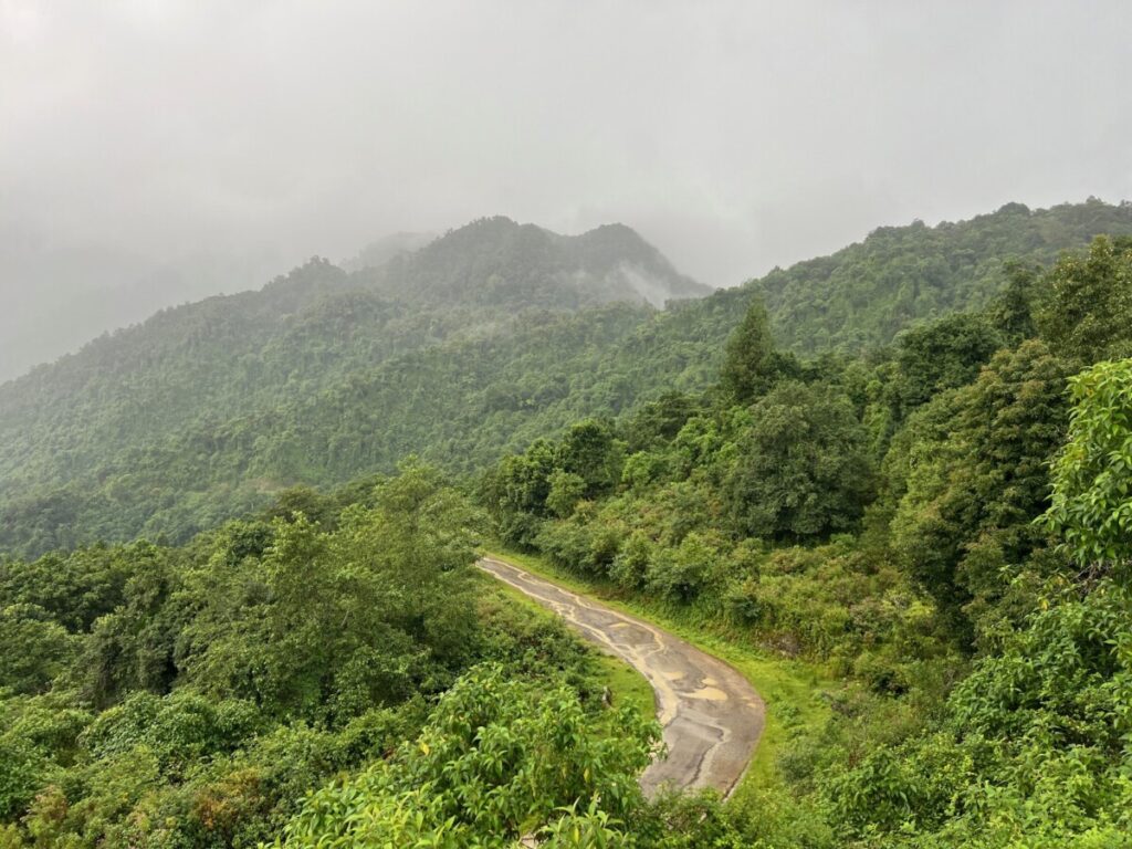 The ‘30x30’ target and community conservation in Nagaland: could OECMs be the way forward? 4 Lush Green Forest in Nagaland taken in 2024. Photo Credit Sunita Chaudhary
