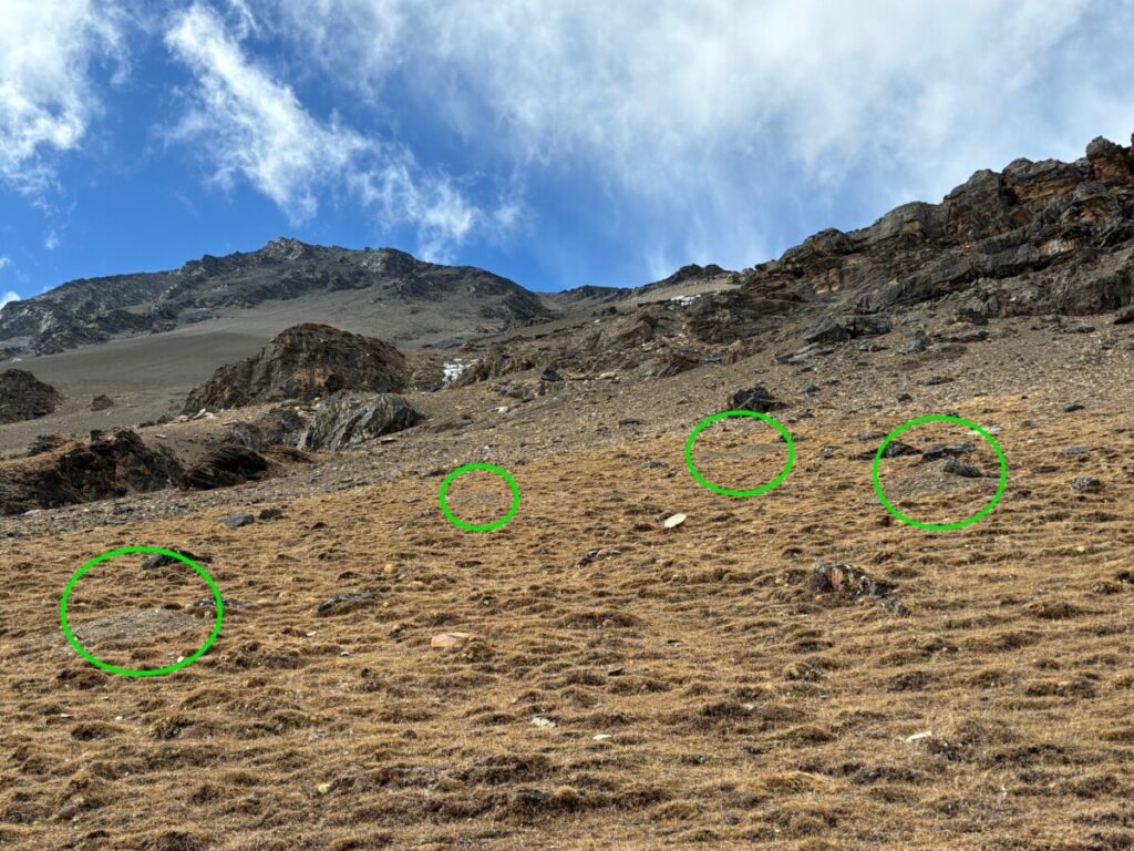 Mound Network High